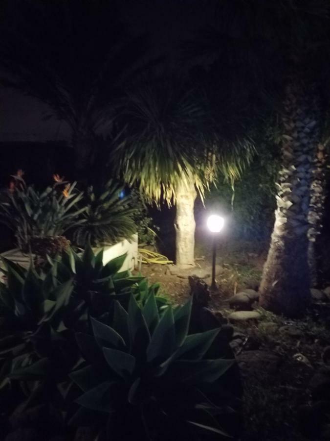 Palmeras อินเกนิโอ ภายนอก รูปภาพ